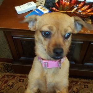 Meet your Posher, Kathleen